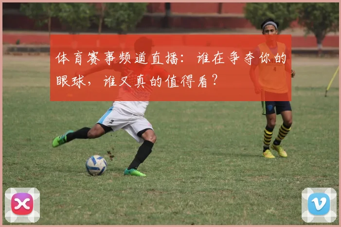 体育赛事频道直播：谁在争夺你的眼球，谁又真的值得看？
