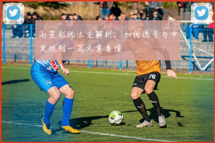 七星彩玩法全解析:如何选号与中奖规则一篇文章看懂